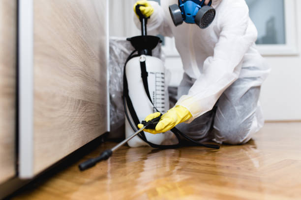 Best Pest Removal Services  in Yuma, CO