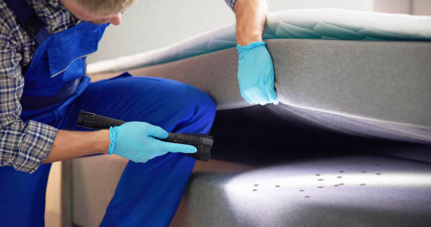 Best Mosquito Control Services  in Yuma, CO