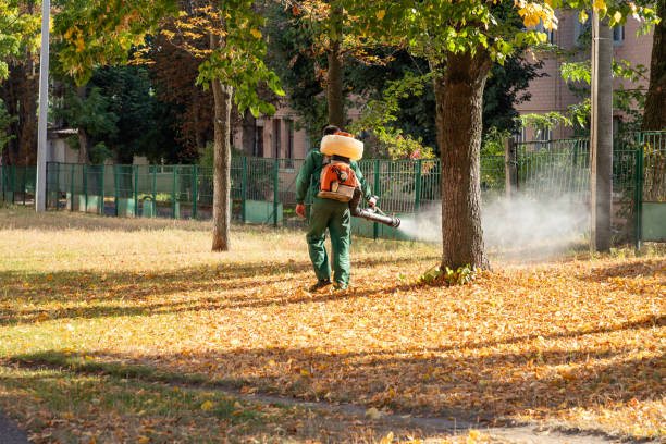 Best Residential Pest Control  in Yuma, CO